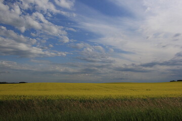 Saskatchewan Scenery Hafford Road Trip