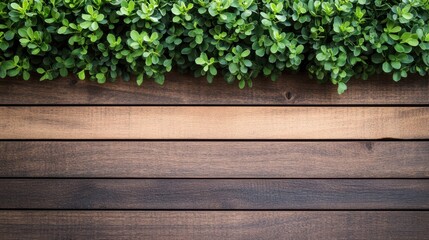 A detailed close-up of a vibrant plant displayed on a rustic wooden surface with a complementary wooden background, highlighting natural textures and colors.