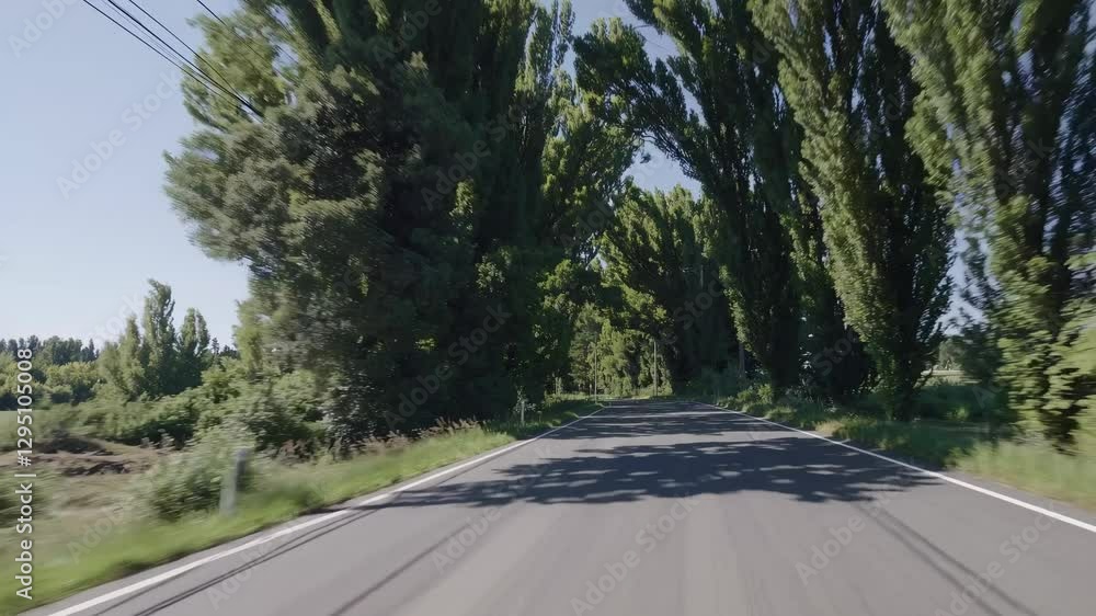 Poster a dynamic video captures a tree-lined road from a low-angle perspective, creating a tunnel effect wi