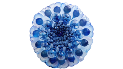 Blueberries and balloons creating a decorative flower shape on transparent background