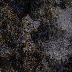 Image Within The Ice