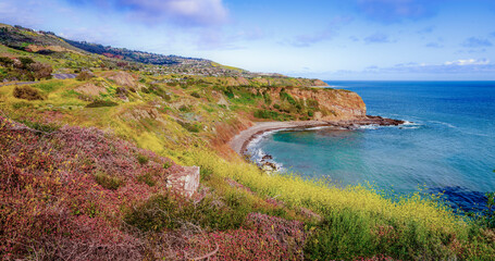 A colorful coastal setting of Springtime growth and flowers along the Southern California Coast on a beautiful day