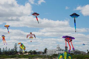 Colorful kites soaring over a beach during a vibrant kite festival in Adelaide 