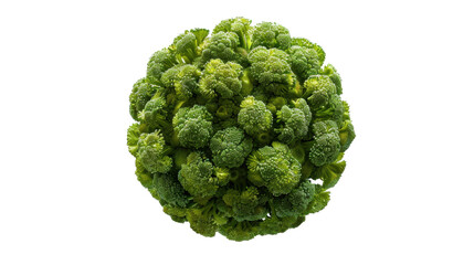 Obraz premium Broccoli forming a perfect sphere on transparent background