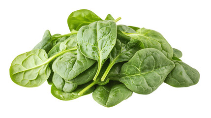 Fresh green spinach leaves isolated on transparent background in png format for healthy eating and organic food design projects.