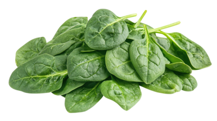 Fresh green spinach leaves isolated on transparent background in png format for healthy eating and organic food design projects.