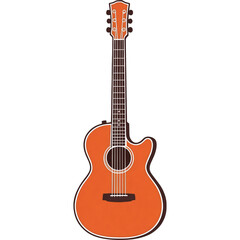 Obraz premium Classic Acoustic Guitar
