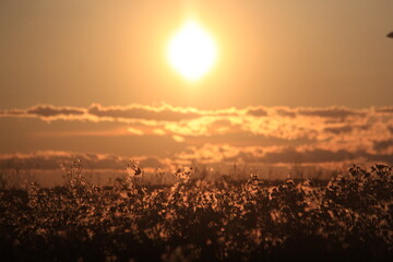 Lake Manitoba Narrows Scenery
