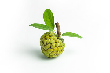 Fototapeta premium A custard apple with green leaves and a stem is isolated on a white background, viewed from a high angle