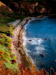 Portrait style photograph of Lunada Bay in Palos Verdes Estates, CA; showing features of west coast tropical style features rich with greenery and blue water