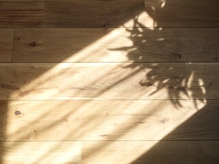 shadow on the wall