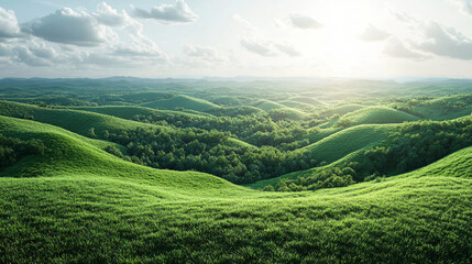 Fototapeta premium Expansive green landscape featuring rolling hills and tall trees bathed in soft natural light under a clear blue sky