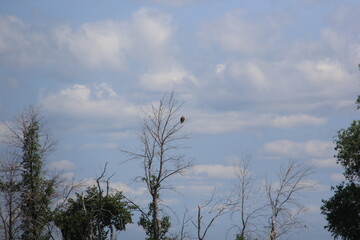 Lake Manitoba Narrows Scenery