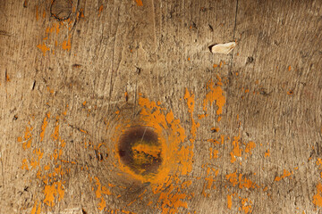 The orange or yellow wood texture with natural patterns. Cracked paint. Surface of old wood plank...