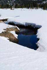 Water in snow covered creek in meadow emerges during spring thaw in an alpine environment.   Vertical.  