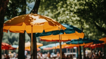 A collection of colorful umbrellas rests quietly in a shaded area, creating a vibrant yet tranquil scene under the canopy of trees.