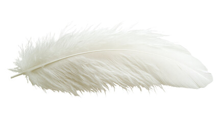 Fototapeta premium White feather isolated on transparent background - high quality png.