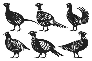 set of Pheasant silhouette vector illustration