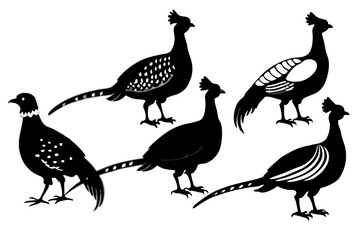 set of Pheasant silhouette vector illustration