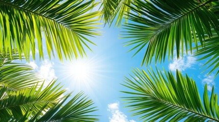 Fototapeta premium A detailed close-up view of a palm tree, showcasing sunlight filtering through its lush green leaves, creating a vibrant and serene atmosphere.