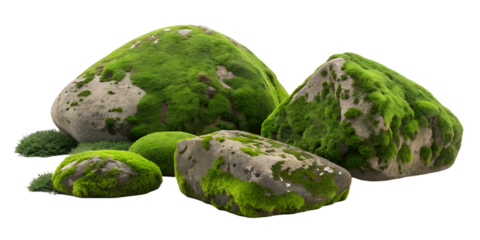 set of moss covered rocks in natural settings png background