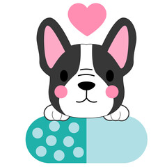 cute dog, French bulldog, dog health, veterinary clip art, pet care, dog nurse, puppy doctor, pet hospital, dog medication, dog syringe, pet first aid, vet clinic, dog with pills, dog with bandage