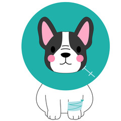 cute dog, French bulldog, dog health, veterinary clip art, pet care, dog nurse, puppy doctor, pet hospital, dog medication, dog syringe, pet first aid, vet clinic, dog with pills, dog with bandage