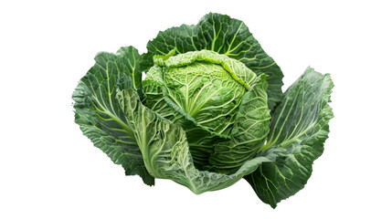 Obraz premium Fresh green savoy cabbage isolated on transparent background