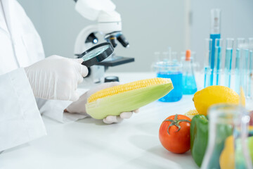 Scientist use magnifying glass to check physical occur from chemical on fruit and vegetable...