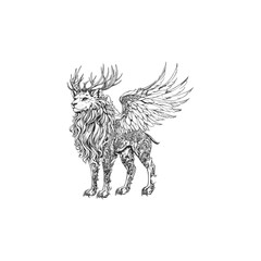 Obraz premium Winged animal fantastical design vector template illustration