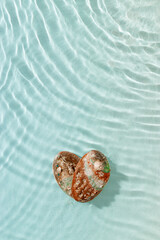Minimal aesthetic still life, heart shape pearlescent seashells at sunlight, waves seawater, natural beauty organic forms. Shell as symbol of love, travel, tourism visual, vacation rest concepts