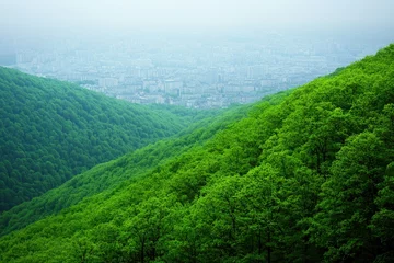 A lush green landscape with rolling hills, blending into a misty cityscape in the distance.