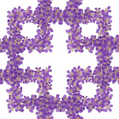 Seamless pattern with floral lattice ornament. Scanned pressed wild geranium on white background.