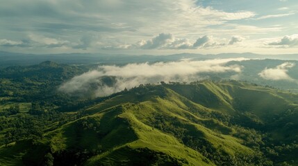 Obraz premium Misty Mountain Landscape: Aerial View of Rolling Green Hills and Fog