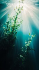 Obraz premium Glowing sea creature drifting in deep waters, a serene underwater encounter revealing nature's hidden wonders. 