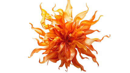 Orange flower with transparent background blooming elegantly in fiery hues
