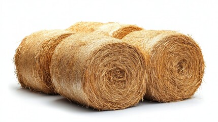 straw bales isolated,studio background