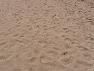 Footprints soft sand beach nature coastal environment overhead view tranquility concept