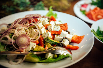 Vegetable salad with herbs and cubes of white feta cheese, mozzarella and red onion with spices on a white plate in the restaurant. Healthy food, Mediterranean cuisine, Greek salad