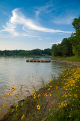 Boat Dock, Douglas Lake, Sevier County