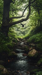 Obraz premium Dark Lush Forest Stream with Bird in Flight
