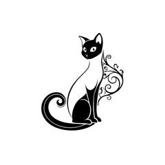 black and white cat