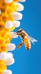 Fototapeta premium Regenerative Ecosystems High-Resolution Macro of Pollinator Dynamics in Vibrant Biophilic Habitat - Climate Resilience Visual Storytelling
