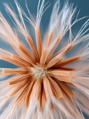 Obraz premium Ethereal Biomimicry Delicate Dandelion Seed Macro Exploring Natural Design, Sustainability, and Organic Precision in High-Resolution Detail