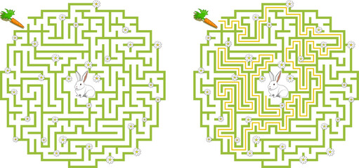 Help bunny pass through circular maze to find carrot. Feed the hungry pet labyrinth. Medium difficulty riddle for kids and parents with solution
