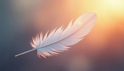 Naklejka premium Single white feather, pastel sunset, soft light, sunrise, summer, airiness
