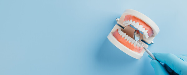 A dentist hand in gloves holds a dental mirror beside a tooth model for Dentist Day