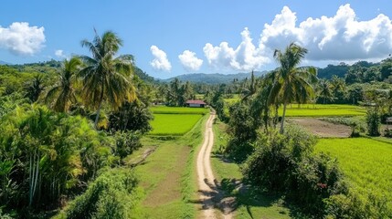 Fototapeta premium Serene Countryside Vista: Lush Green Rice Paddies and Palm Trees