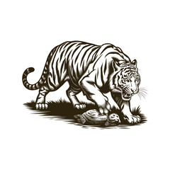 Obraz premium Vintage engraving woodcut tiger vector illustration art design