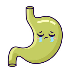 cute stomach organ